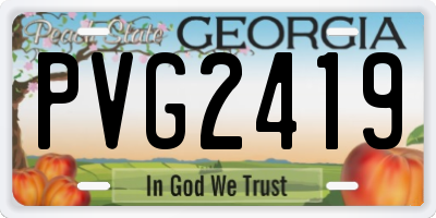GA license plate PVG2419