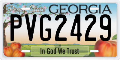 GA license plate PVG2429