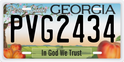 GA license plate PVG2434