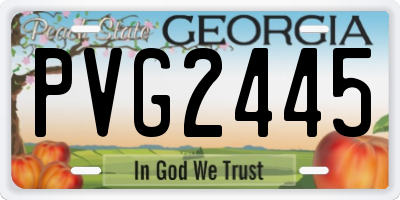 GA license plate PVG2445