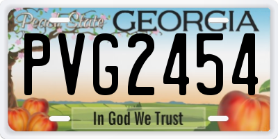 GA license plate PVG2454