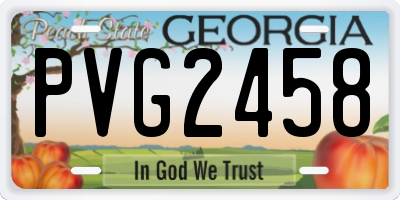 GA license plate PVG2458
