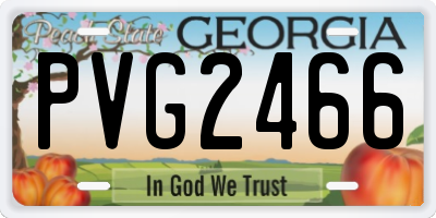 GA license plate PVG2466
