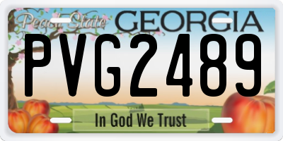 GA license plate PVG2489