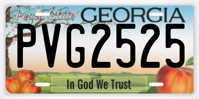 GA license plate PVG2525