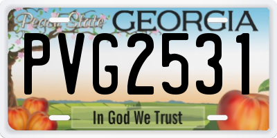 GA license plate PVG2531