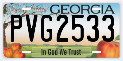 GA license plate PVG2533