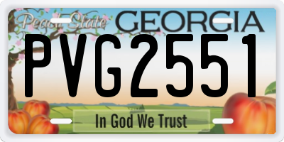 GA license plate PVG2551