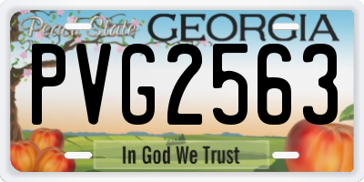 GA license plate PVG2563