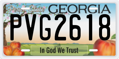 GA license plate PVG2618