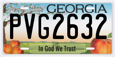 GA license plate PVG2632