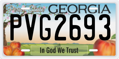 GA license plate PVG2693