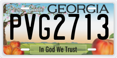 GA license plate PVG2713