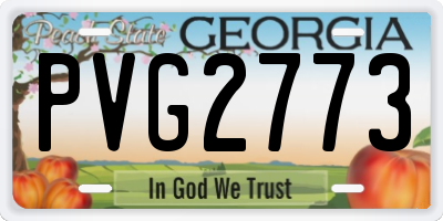 GA license plate PVG2773
