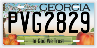 GA license plate PVG2829