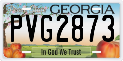 GA license plate PVG2873