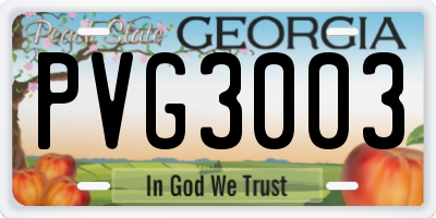 GA license plate PVG3003