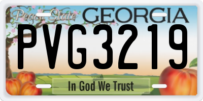 GA license plate PVG3219