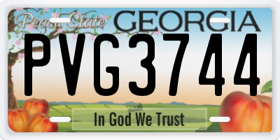 GA license plate PVG3744