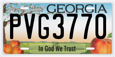 GA license plate PVG3770