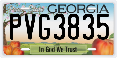 GA license plate PVG3835