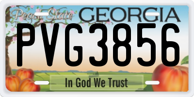 GA license plate PVG3856