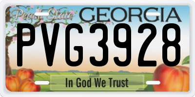 GA license plate PVG3928