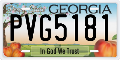 GA license plate PVG5181