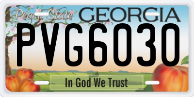 GA license plate PVG6030