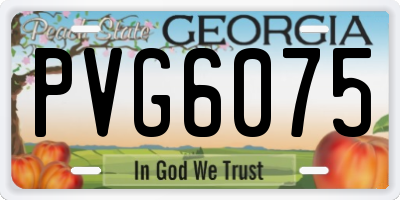 GA license plate PVG6075