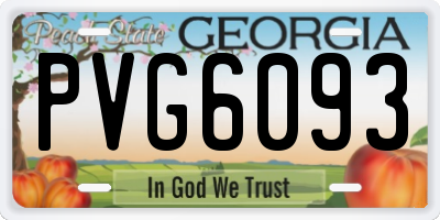 GA license plate PVG6093