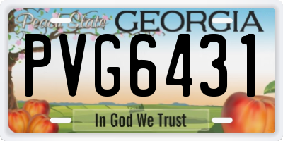 GA license plate PVG6431