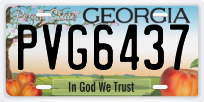 GA license plate PVG6437