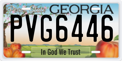 GA license plate PVG6446