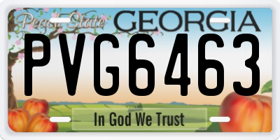 GA license plate PVG6463