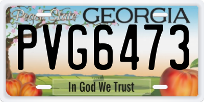 GA license plate PVG6473