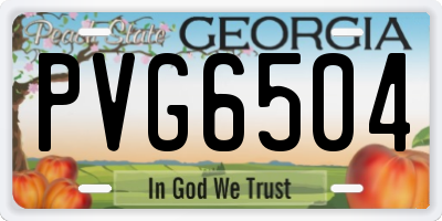 GA license plate PVG6504