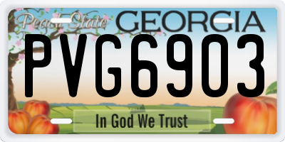 GA license plate PVG6903