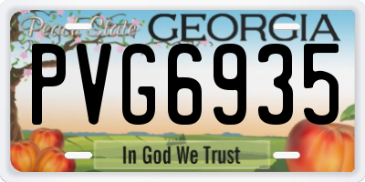 GA license plate PVG6935