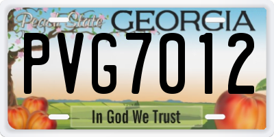 GA license plate PVG7012
