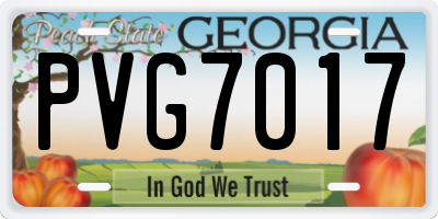 GA license plate PVG7017