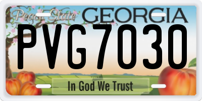 GA license plate PVG7030