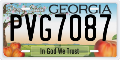 GA license plate PVG7087