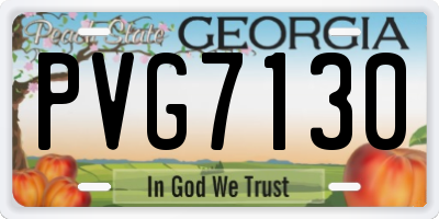 GA license plate PVG7130