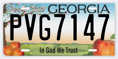 GA license plate PVG7147