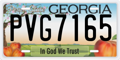 GA license plate PVG7165
