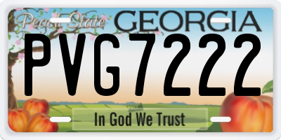 GA license plate PVG7222