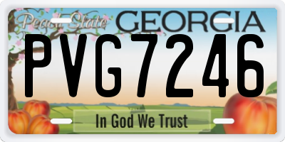 GA license plate PVG7246