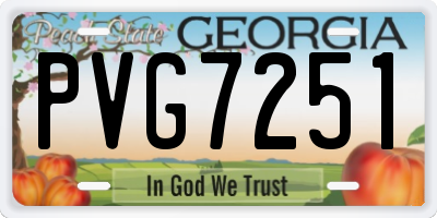GA license plate PVG7251