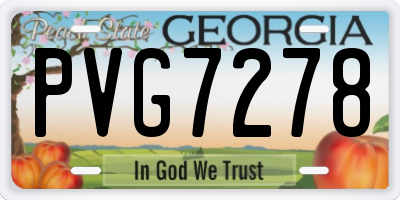 GA license plate PVG7278